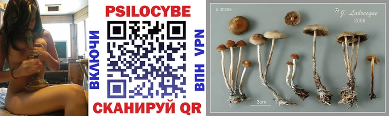 Галлюциногенные грибы прущие грибы  Купить где  Лысьва 